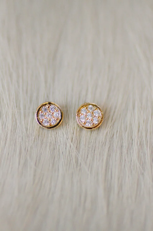 Earrings For Rich Taste-Matched Petite Circle Critter Studs