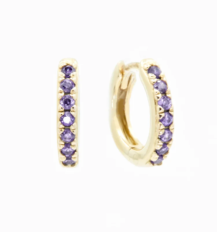 Earrings Fit Rules-Purple Hoop Earrings